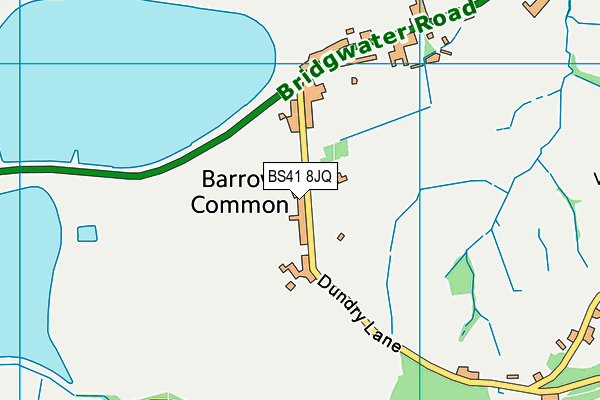 BS41 8JQ map - OS VectorMap District (Ordnance Survey) BS41 8JQ map - OS VectorMap District (Ordnance Survey)