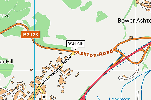 BS41 9JH map - OS VectorMap District (Ordnance Survey) BS41 9JH map - OS VectorMap District (Ordnance Survey)