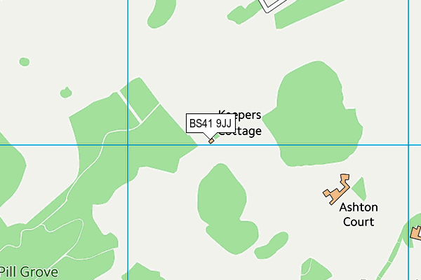 BS41 9JJ map - OS VectorMap District (Ordnance Survey) BS41 9JJ map - OS VectorMap District (Ordnance Survey)