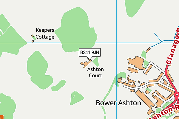 BS41 9JN map - OS VectorMap District (Ordnance Survey) BS41 9JN map - OS VectorMap District (Ordnance Survey)