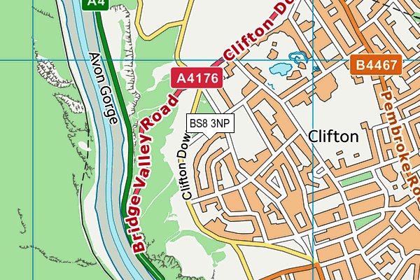 BS8 3NP map - OS VectorMap District (Ordnance Survey)