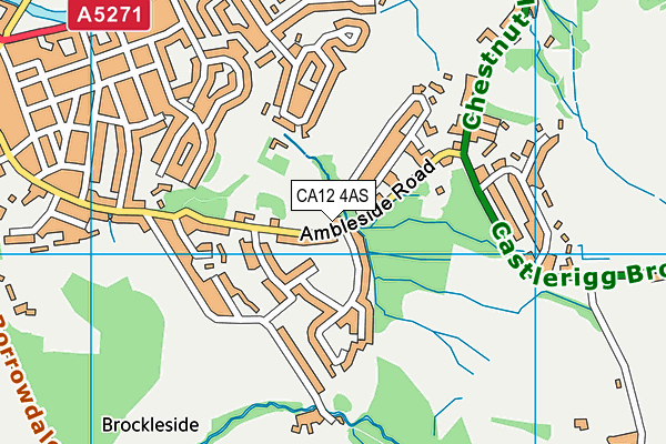CA12 4AS map - OS VectorMap District (Ordnance Survey) CA12 4AS map - OS VectorMap District (Ordnance Survey)