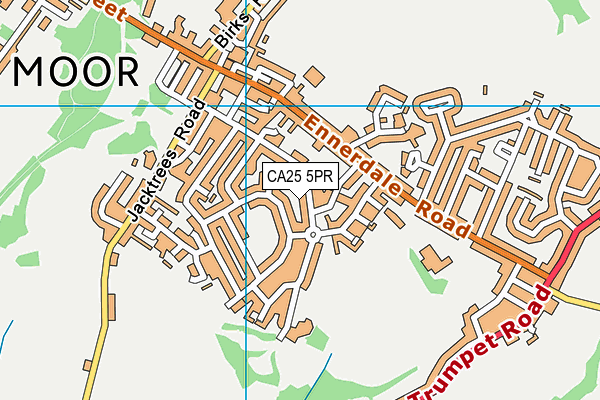 CA25 5PR map - OS VectorMap District (Ordnance Survey) CA25 5PR map - OS VectorMap District (Ordnance Survey)
