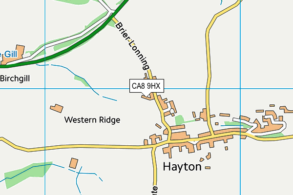 CA8 9HX map - OS VectorMap District (Ordnance Survey) CA8 9HX map - OS VectorMap District (Ordnance Survey)