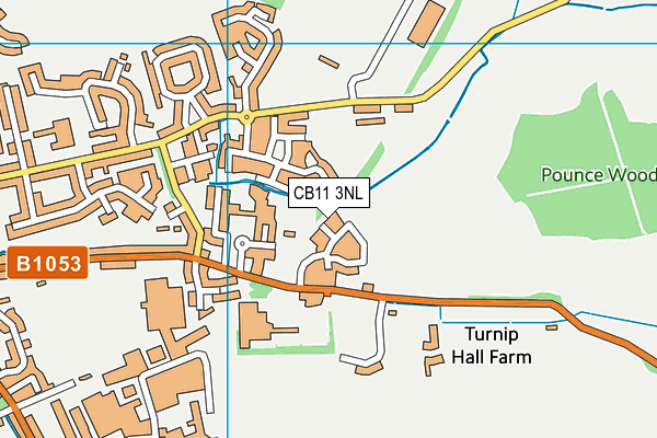 CB11 3NL map - OS VectorMap District (Ordnance Survey) CB11 3NL map - OS VectorMap District (Ordnance Survey)