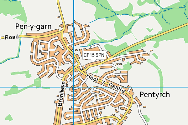 CF15 9PN map - OS VectorMap District (Ordnance Survey) CF15 9PN map - OS VectorMap District (Ordnance Survey)
