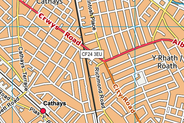 CF24 3EU map - OS VectorMap District (Ordnance Survey) CF24 3EU map - OS VectorMap District (Ordnance Survey)