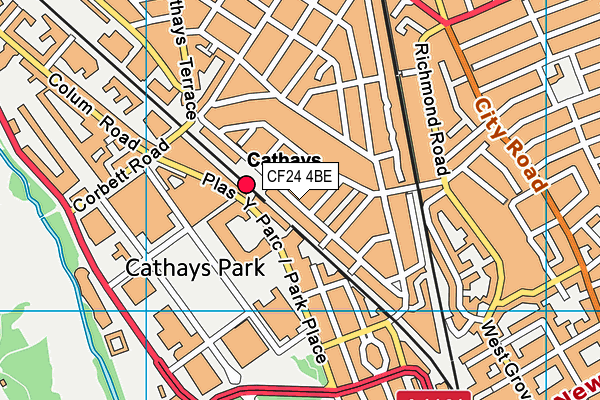 CF24 4BE map - OS VectorMap District (Ordnance Survey) CF24 4BE map - OS VectorMap District (Ordnance Survey)