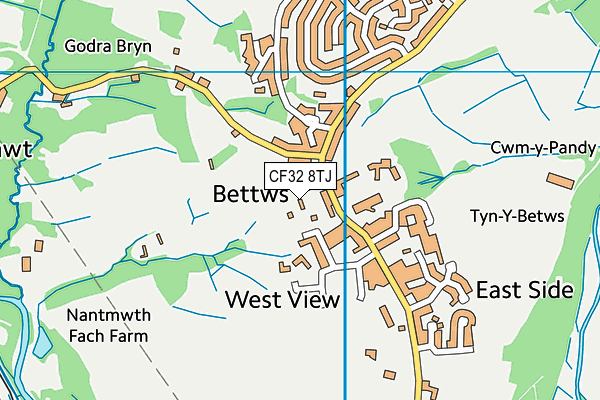 CF32 8TJ map - OS VectorMap District (Ordnance Survey) CF32 8TJ map - OS VectorMap District (Ordnance Survey)