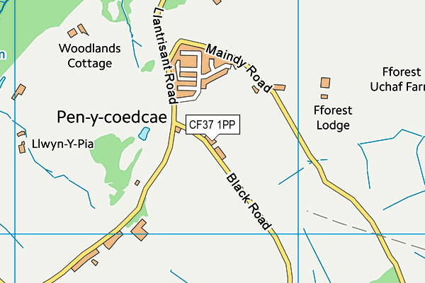CF37 1PP map - OS VectorMap District (Ordnance Survey) CF37 1PP map - OS VectorMap District (Ordnance Survey)