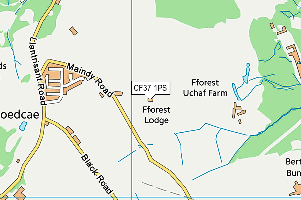 CF37 1PS map - OS VectorMap District (Ordnance Survey) CF37 1PS map - OS VectorMap District (Ordnance Survey)