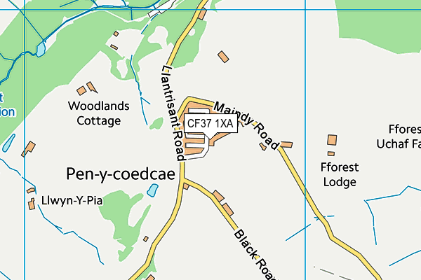 CF37 1XA map - OS VectorMap District (Ordnance Survey) CF37 1XA map - OS VectorMap District (Ordnance Survey)