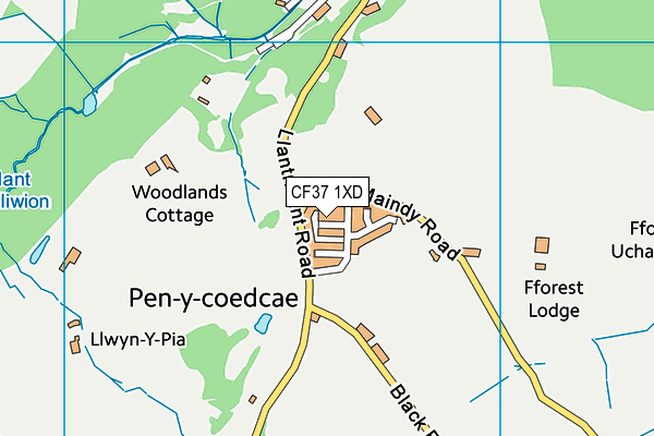 CF37 1XD map - OS VectorMap District (Ordnance Survey) CF37 1XD map - OS VectorMap District (Ordnance Survey)