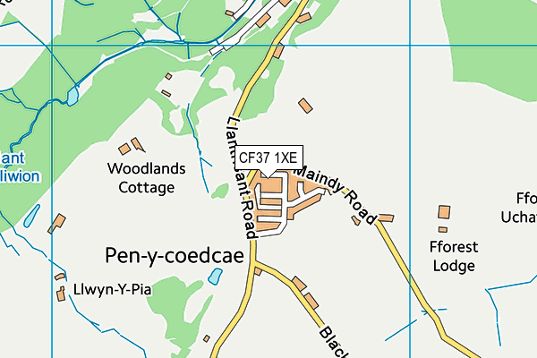 CF37 1XE map - OS VectorMap District (Ordnance Survey) CF37 1XE map - OS VectorMap District (Ordnance Survey)