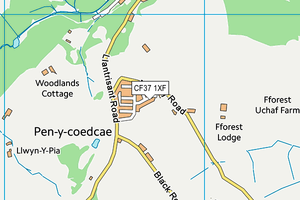 CF37 1XF map - OS VectorMap District (Ordnance Survey) CF37 1XF map - OS VectorMap District (Ordnance Survey)