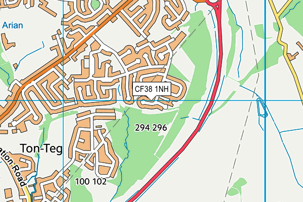CF38 1NH map - OS VectorMap District (Ordnance Survey) CF38 1NH map - OS VectorMap District (Ordnance Survey)