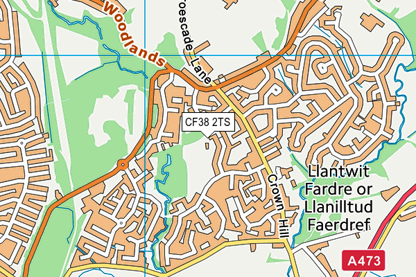 CF38 2TS map - OS VectorMap District (Ordnance Survey) CF38 2TS map - OS VectorMap District (Ordnance Survey)