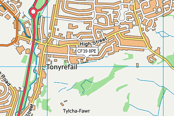 CF39 8PE map - OS VectorMap District (Ordnance Survey) CF39 8PE map - OS VectorMap District (Ordnance Survey)