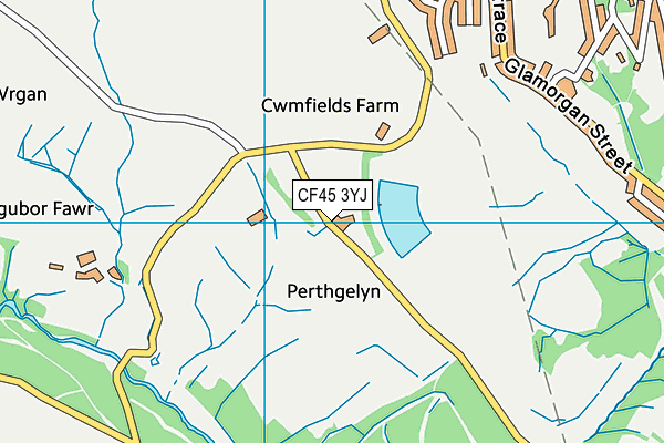 CF45 3YJ map - OS VectorMap District (Ordnance Survey) CF45 3YJ map - OS VectorMap District (Ordnance Survey)