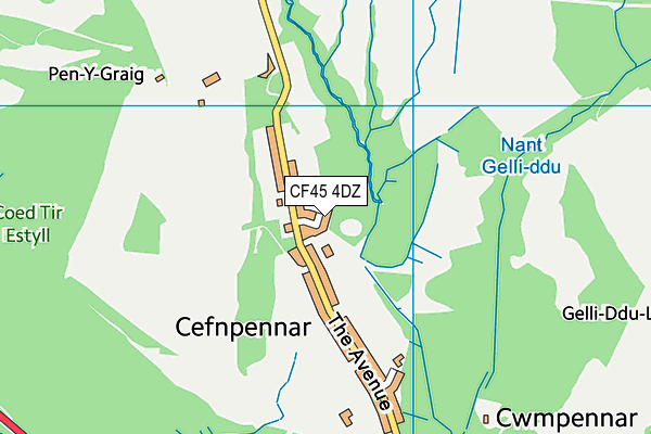 CF45 4DZ map - OS VectorMap District (Ordnance Survey) CF45 4DZ map - OS VectorMap District (Ordnance Survey)