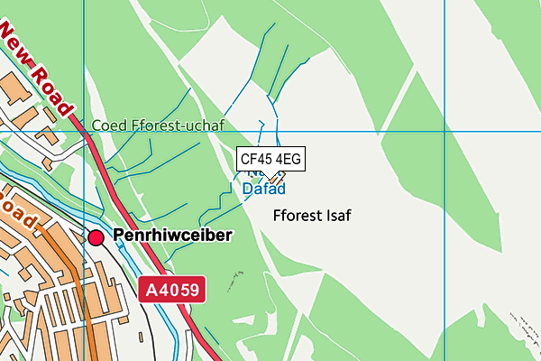 CF45 4EG map - OS VectorMap District (Ordnance Survey) CF45 4EG map - OS VectorMap District (Ordnance Survey)