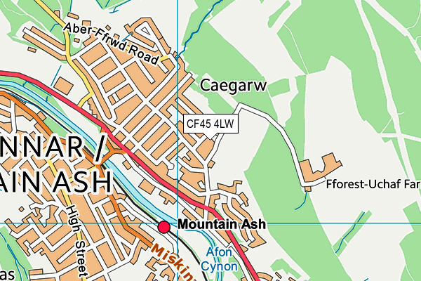 CF45 4LW map - OS VectorMap District (Ordnance Survey) CF45 4LW map - OS VectorMap District (Ordnance Survey)