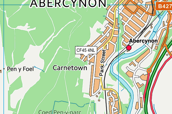 CF45 4NL map - OS VectorMap District (Ordnance Survey) CF45 4NL map - OS VectorMap District (Ordnance Survey)