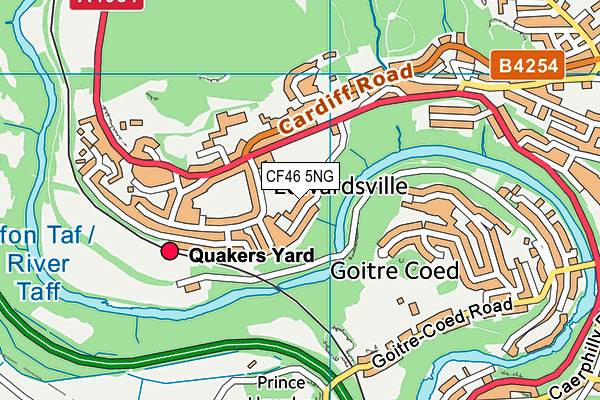 CF46 5NG map - OS VectorMap District (Ordnance Survey) CF46 5NG map - OS VectorMap District (Ordnance Survey)
