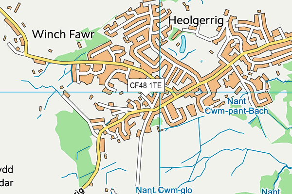 CF48 1TE map - OS VectorMap District (Ordnance Survey) CF48 1TE map - OS VectorMap District (Ordnance Survey)