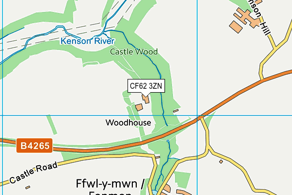 CF62 3ZN map - OS VectorMap District (Ordnance Survey) CF62 3ZN map - OS VectorMap District (Ordnance Survey)