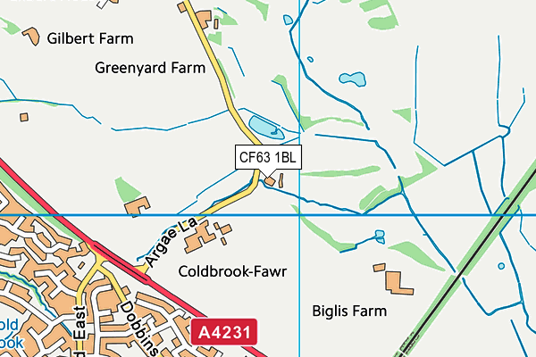CF63 1BL map - OS VectorMap District (Ordnance Survey) CF63 1BL map - OS VectorMap District (Ordnance Survey)