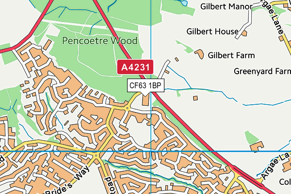 CF63 1BP map - OS VectorMap District (Ordnance Survey) CF63 1BP map - OS VectorMap District (Ordnance Survey)