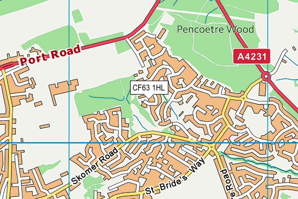 CF63 1HL map - OS VectorMap District (Ordnance Survey) CF63 1HL map - OS VectorMap District (Ordnance Survey)