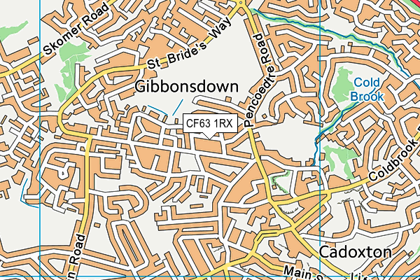 CF63 1RX map - OS VectorMap District (Ordnance Survey) CF63 1RX map - OS VectorMap District (Ordnance Survey)