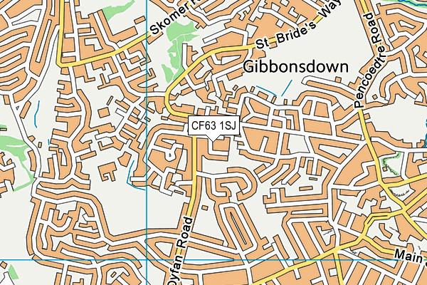 CF63 1SJ map - OS VectorMap District (Ordnance Survey) CF63 1SJ map - OS VectorMap District (Ordnance Survey)