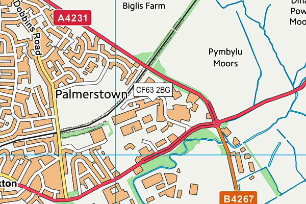 CF63 2BG map - OS VectorMap District (Ordnance Survey) CF63 2BG map - OS VectorMap District (Ordnance Survey)
