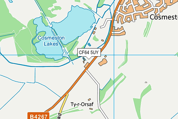 CF64 5UY map - OS VectorMap District (Ordnance Survey) CF64 5UY map - OS VectorMap District (Ordnance Survey)