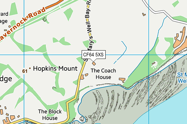 CF64 5XS map - OS VectorMap District (Ordnance Survey) CF64 5XS map - OS VectorMap District (Ordnance Survey)
