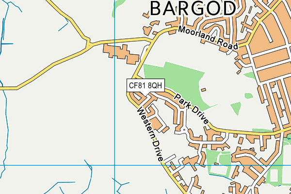 CF81 8QH map - OS VectorMap District (Ordnance Survey) CF81 8QH map - OS VectorMap District (Ordnance Survey)