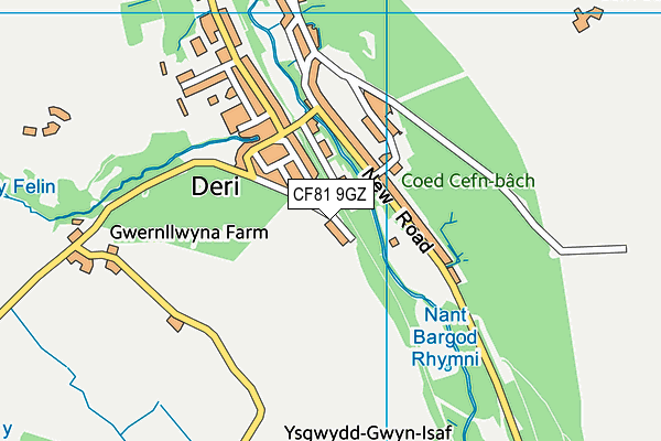 CF81 9GZ map - OS VectorMap District (Ordnance Survey) CF81 9GZ map - OS VectorMap District (Ordnance Survey)