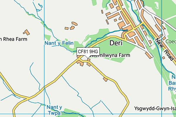CF81 9HG map - OS VectorMap District (Ordnance Survey) CF81 9HG map - OS VectorMap District (Ordnance Survey)