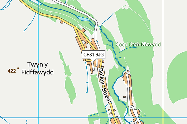 CF81 9JG map - OS VectorMap District (Ordnance Survey) CF81 9JG map - OS VectorMap District (Ordnance Survey)