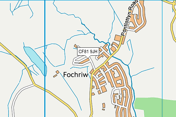 CF81 9JH map - OS VectorMap District (Ordnance Survey) CF81 9JH map - OS VectorMap District (Ordnance Survey)