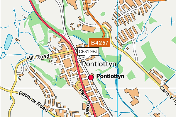 CF81 9PJ map - OS VectorMap District (Ordnance Survey) CF81 9PJ map - OS VectorMap District (Ordnance Survey)
