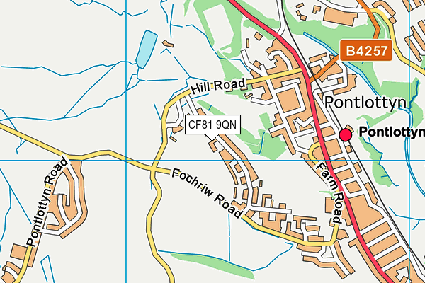 CF81 9QN map - OS VectorMap District (Ordnance Survey)