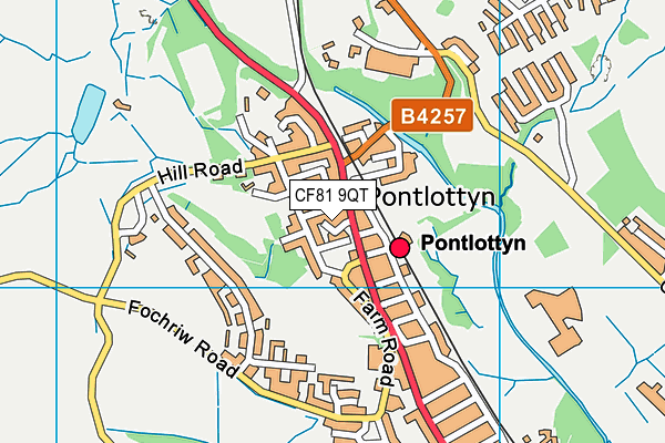 CF81 9QT map - OS VectorMap District (Ordnance Survey) CF81 9QT map - OS VectorMap District (Ordnance Survey)