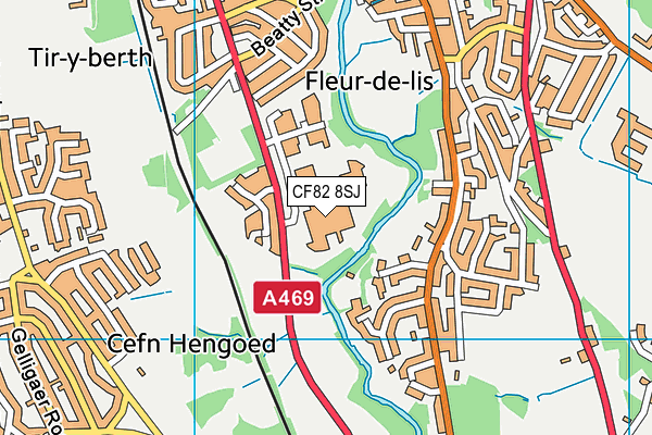CF82 8SJ map - OS VectorMap District (Ordnance Survey) CF82 8SJ map - OS VectorMap District (Ordnance Survey)