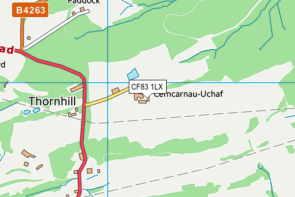 CF83 1LX map - OS VectorMap District (Ordnance Survey) CF83 1LX map - OS VectorMap District (Ordnance Survey)
