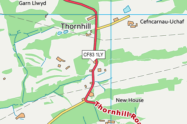 CF83 1LY map - OS VectorMap District (Ordnance Survey) CF83 1LY map - OS VectorMap District (Ordnance Survey)
