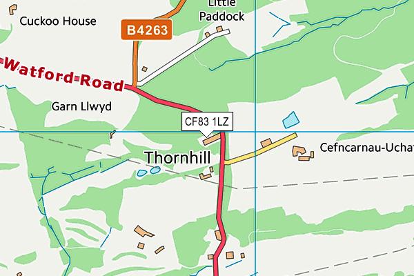CF83 1LZ map - OS VectorMap District (Ordnance Survey) CF83 1LZ map - OS VectorMap District (Ordnance Survey)